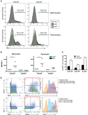 Prior to Peripheral Tolerance, Newly Generated CD4 T Cells Maintain Dangerous Autoimmune Potential: Fas- and Perforin-Independent Autoimmunity Controlled by Programmed Death-1